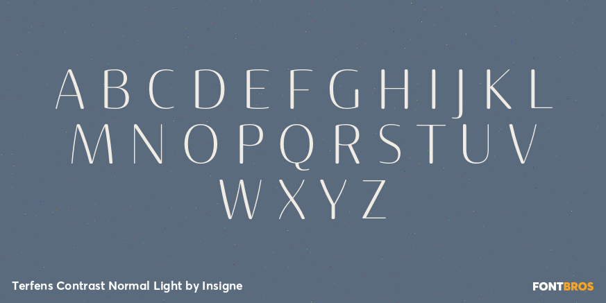 Terfens Contrast Normal Light Font Poster #2