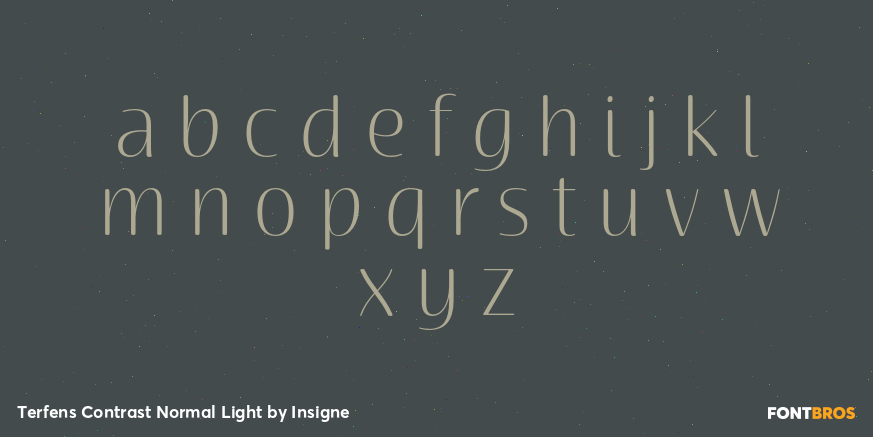 Terfens Contrast Normal Light Font Poster #3