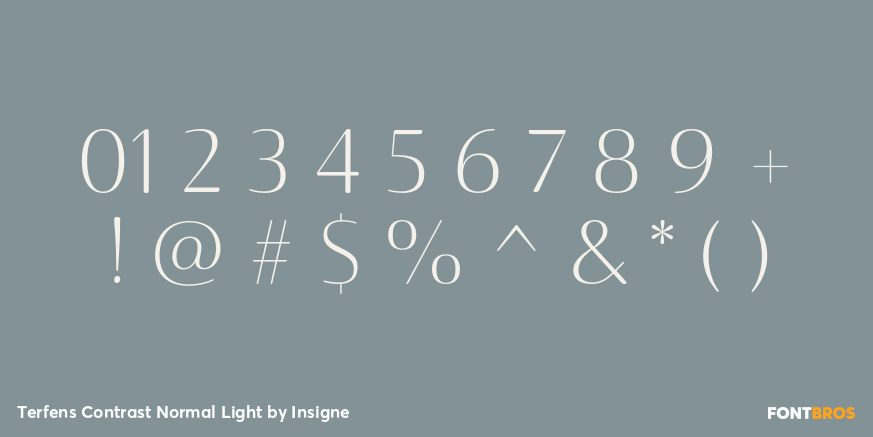 Terfens Contrast Normal Light Font Poster #4