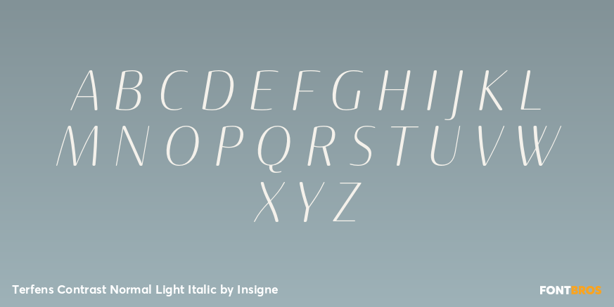 Terfens Contrast Normal Light Italic Font Poster #2