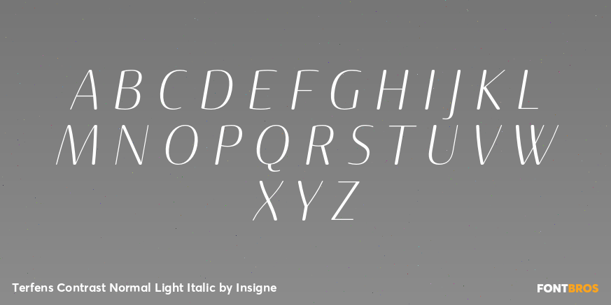 Terfens Contrast Normal Light Italic Font Poster #1