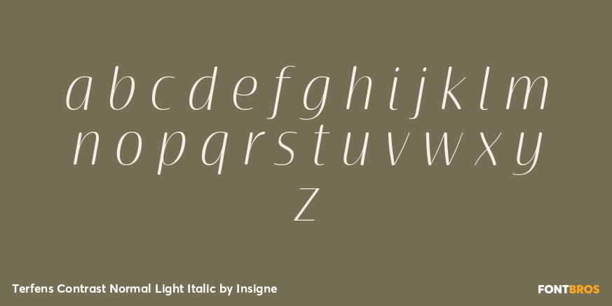 Terfens Contrast Normal Light Italic Font Poster #1