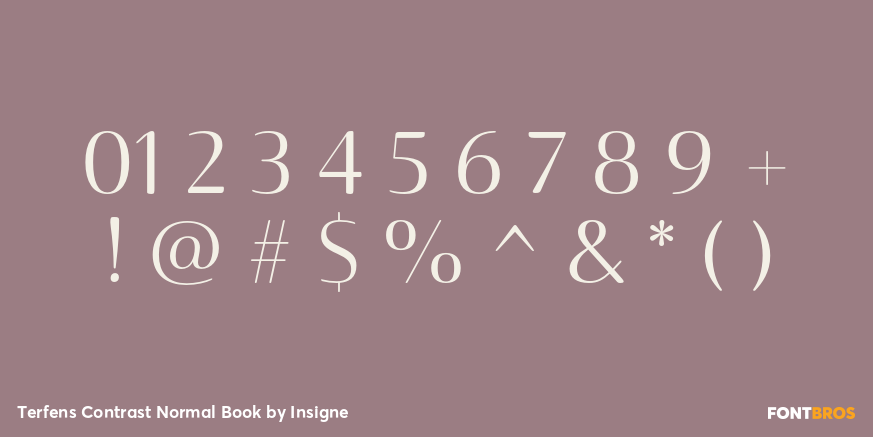 Terfens Contrast Normal Book Font Poster #1