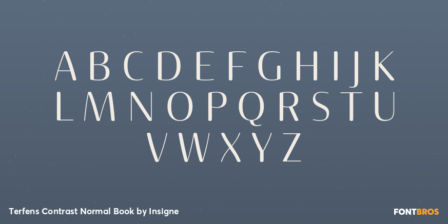 Terfens Contrast Normal Book Font Poster #1