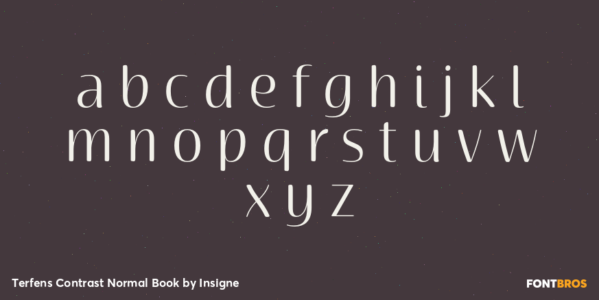 Terfens Contrast Normal Book Font Poster #1