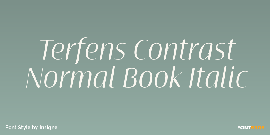 Terfens Contrast Normal Book Italic Poster