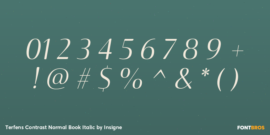 Terfens Contrast Normal Book Italic Font Poster #1
