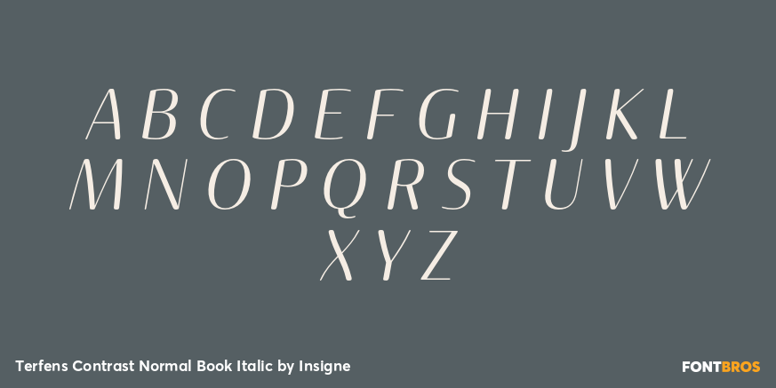 Terfens Contrast Normal Book Italic Font Poster #1
