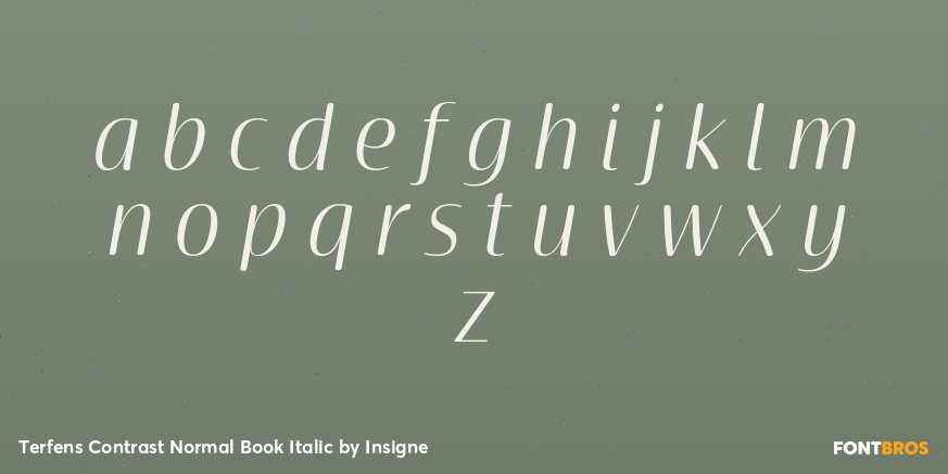 Terfens Contrast Normal Book Italic Font Poster #1