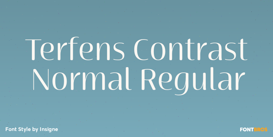 Terfens Contrast Normal Regular Poster