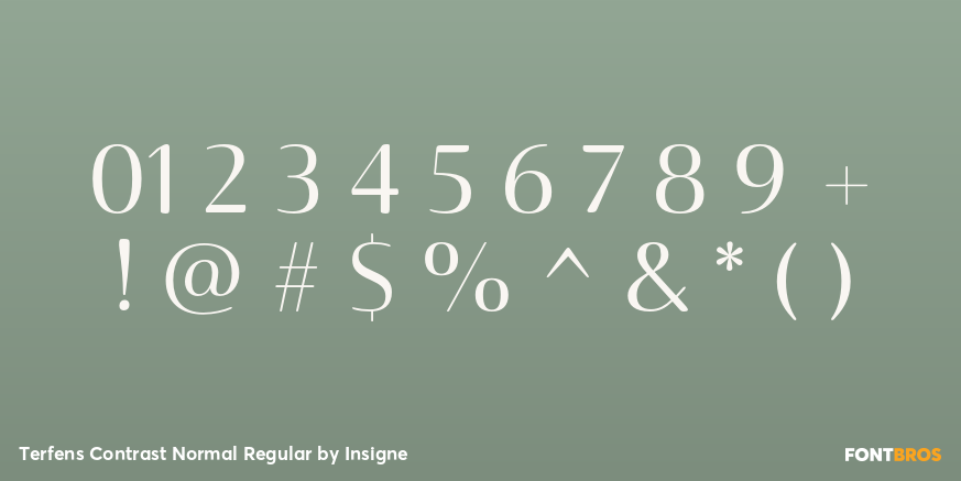 Terfens Contrast Normal Regular Font Poster #1