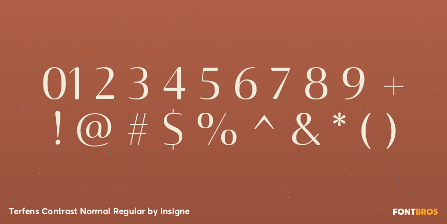 Terfens Contrast Normal Regular Font Poster #4