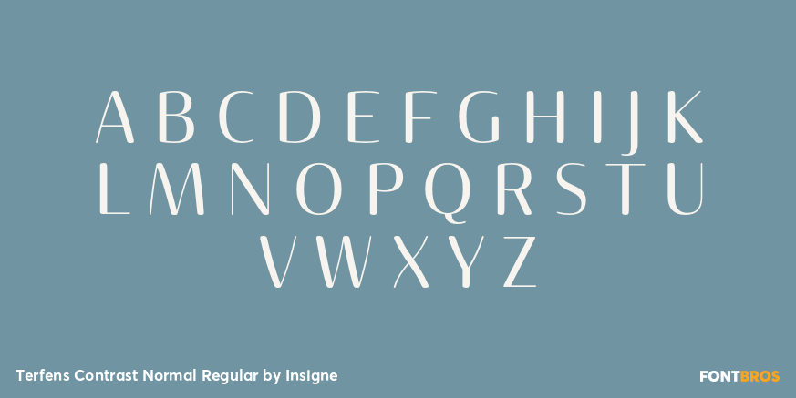 Terfens Contrast Normal Regular Font Poster #1
