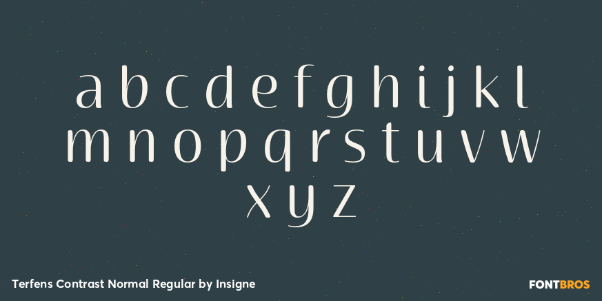 Terfens Contrast Normal Regular Font Poster #1