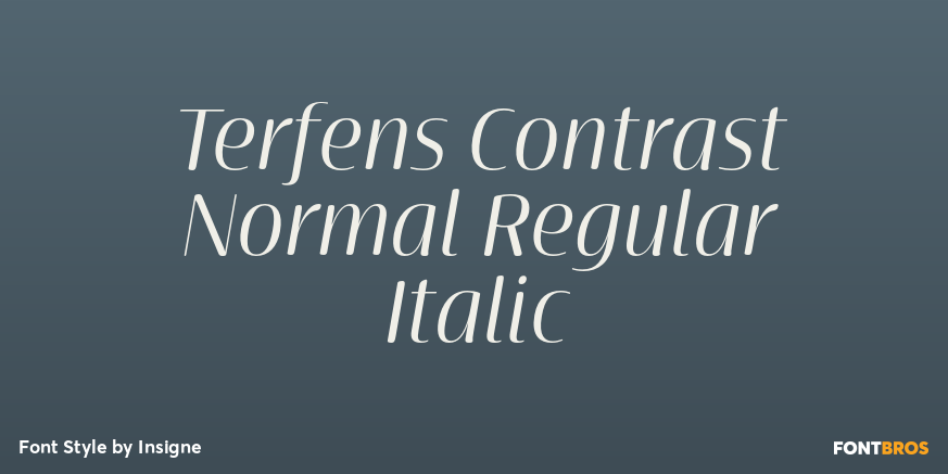 Terfens Contrast Normal Regular Italic Poster