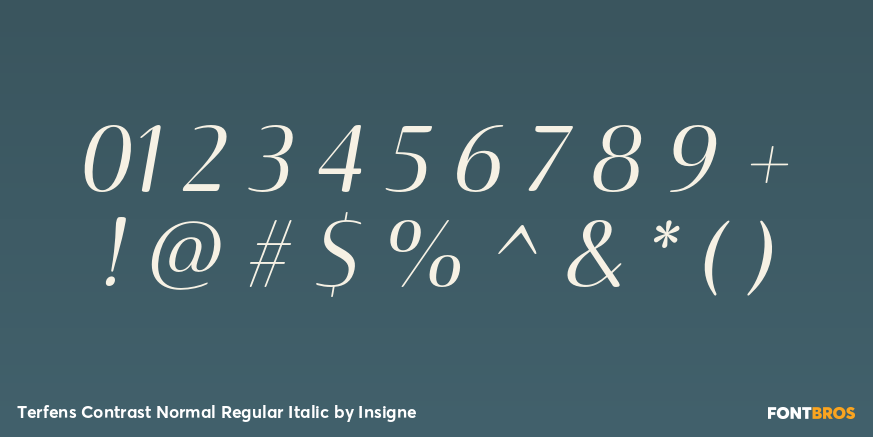 Terfens Contrast Normal Regular Italic Font Poster #1