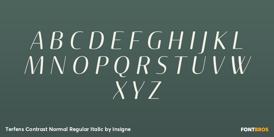 Terfens Contrast Normal Regular Italic Font Poster #1