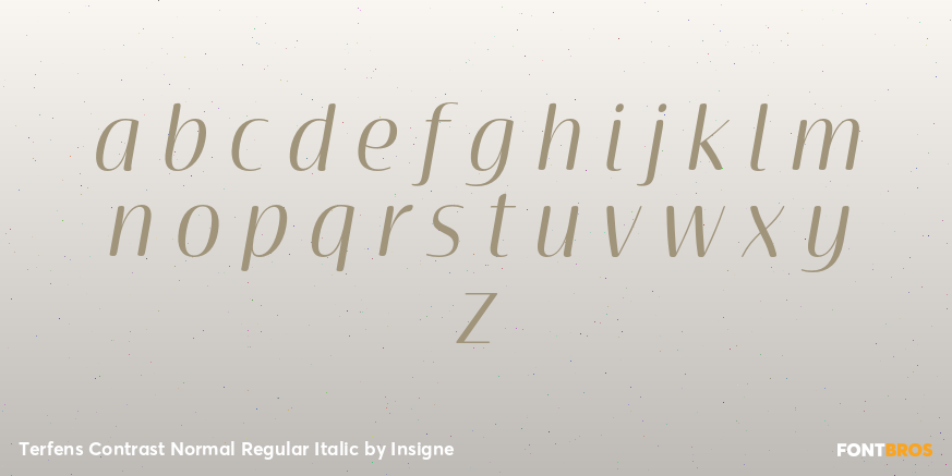 Terfens Contrast Normal Regular Italic Font Poster #1