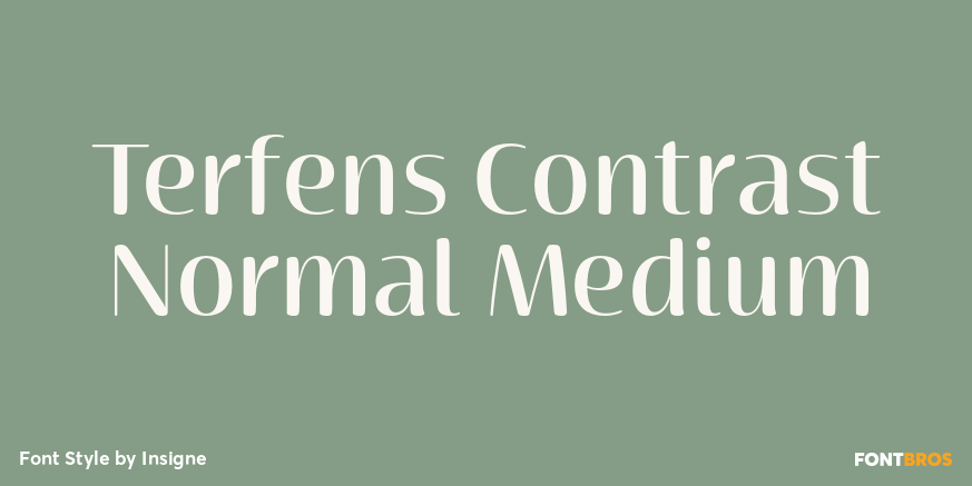 Terfens Contrast Normal Medium Poster