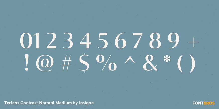 Terfens Contrast Normal Medium Font Poster #1