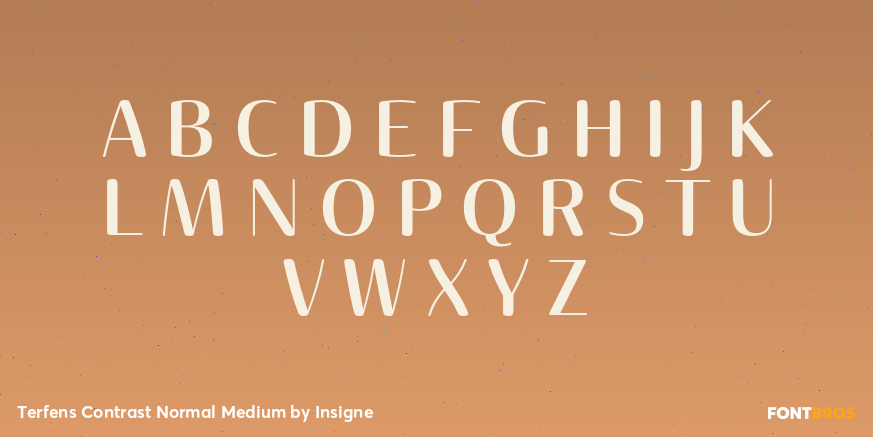 Terfens Contrast Normal Medium Font Poster #1