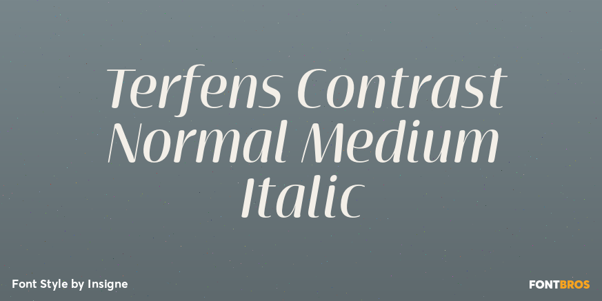 Terfens Contrast Normal Medium Italic Poster