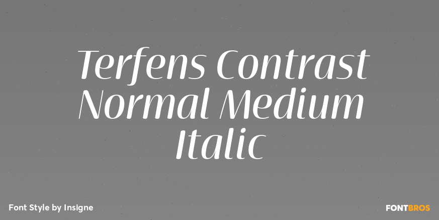 Terfens Contrast Normal Medium Italic Poster
