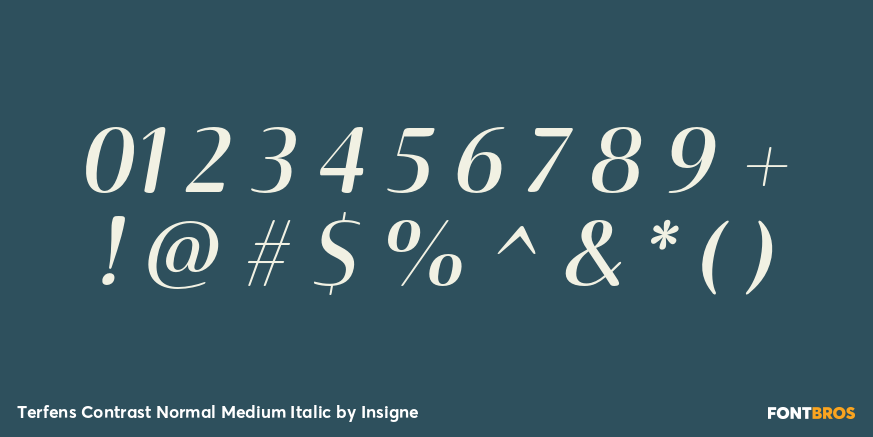 Terfens Contrast Normal Medium Italic Font Poster #1