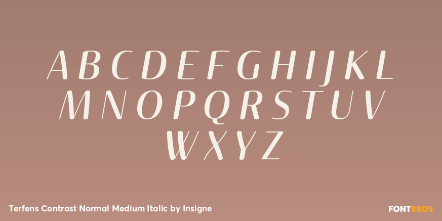 Terfens Contrast Normal Medium Italic Font Poster #1