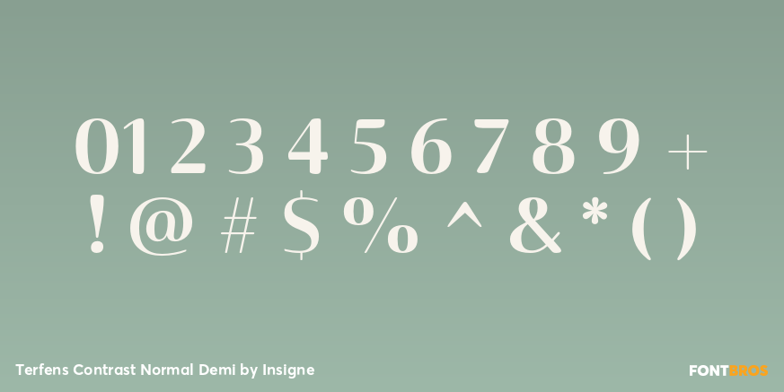 Terfens Contrast Normal Demi Font Poster #1