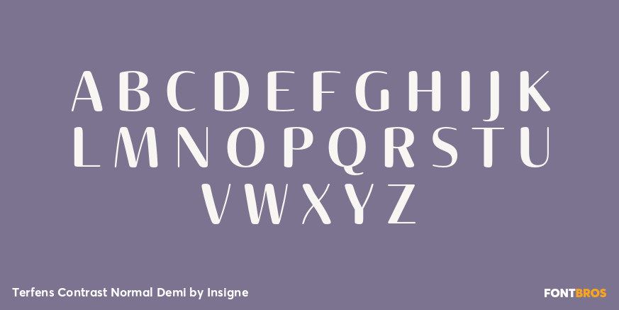 Terfens Contrast Normal Demi Font Poster #1