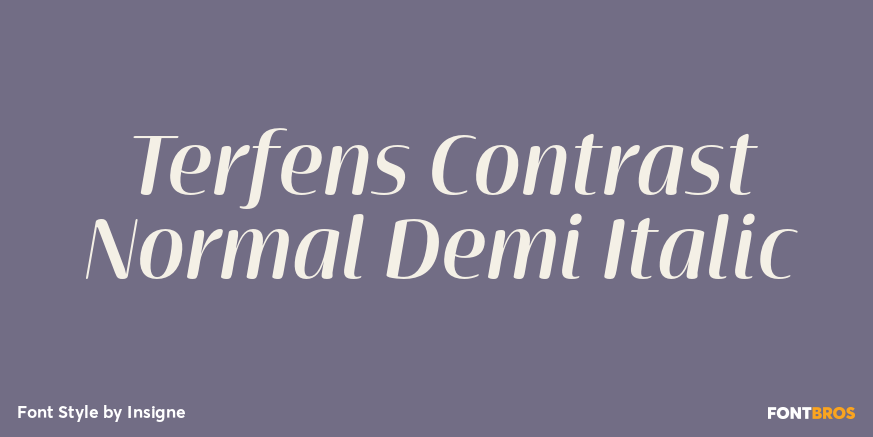 Terfens Contrast Normal Demi Italic Poster