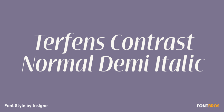 Terfens Contrast Normal Demi Italic Poster