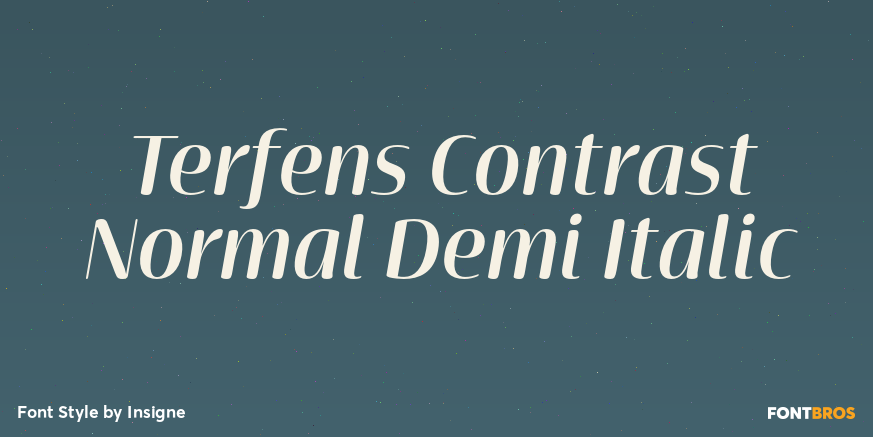 Terfens Contrast Normal Demi Italic Poster