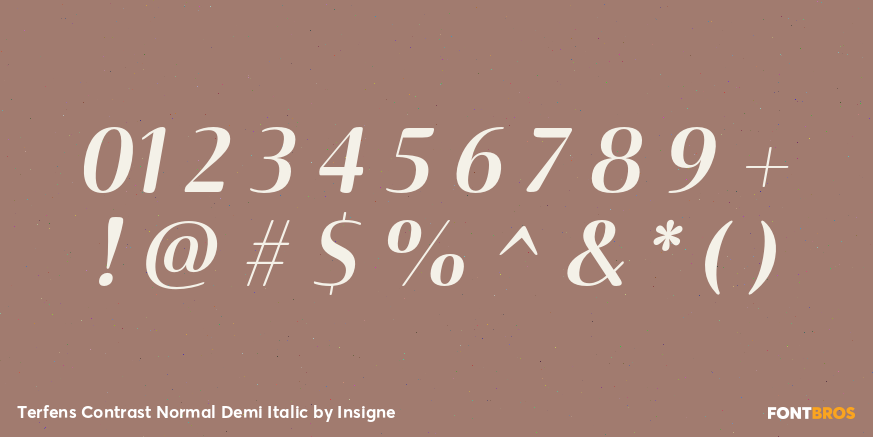 Terfens Contrast Normal Demi Italic Font Poster #1