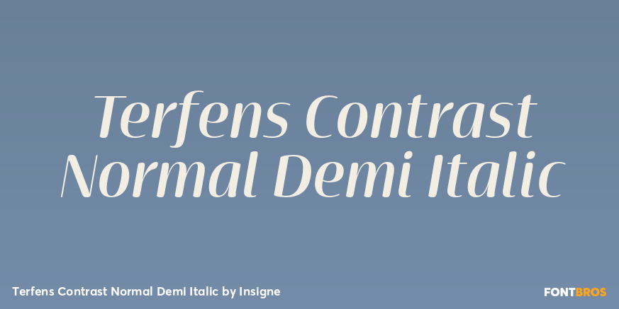 Terfens Contrast Normal Demi Italic Poster