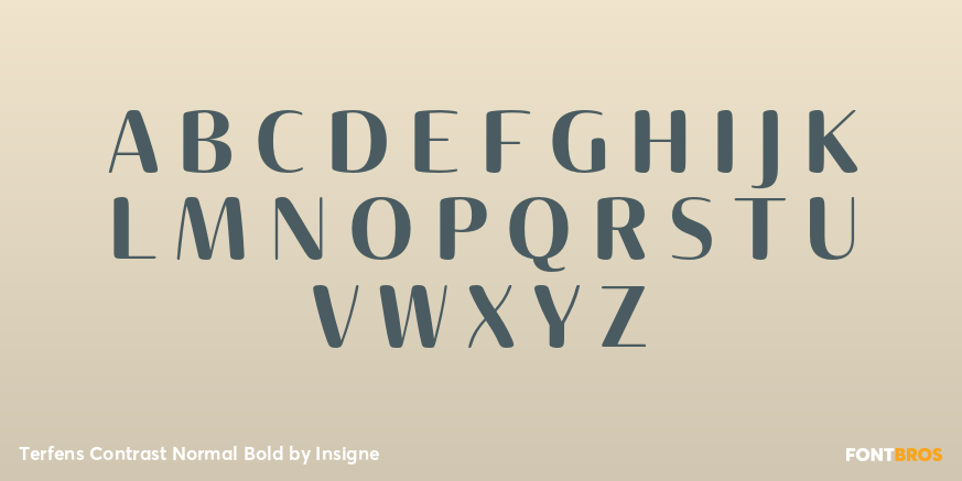 Terfens Contrast Normal Bold Font Poster #1