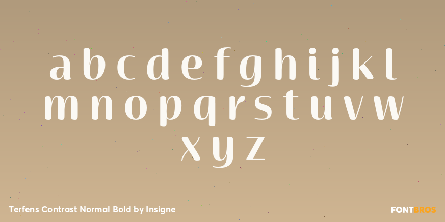Terfens Contrast Normal Bold Font Poster #1
