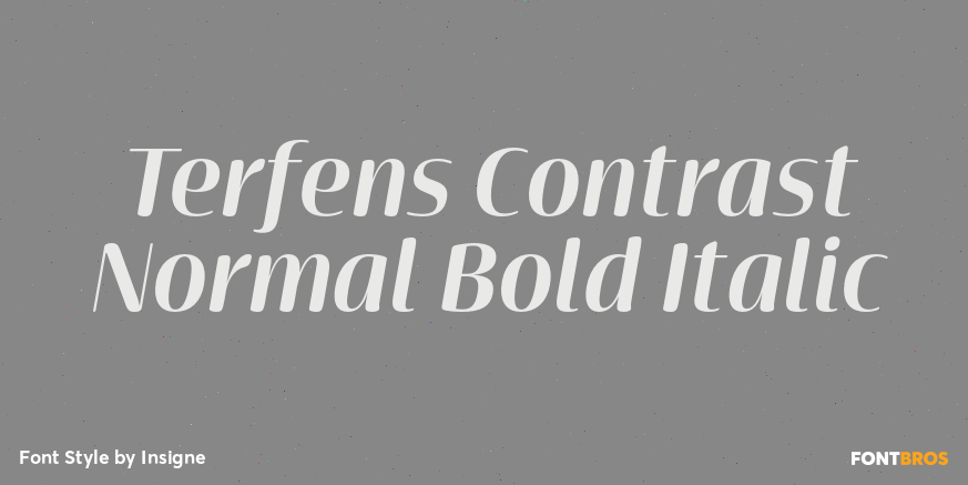 Terfens Contrast Normal Bold Italic Poster