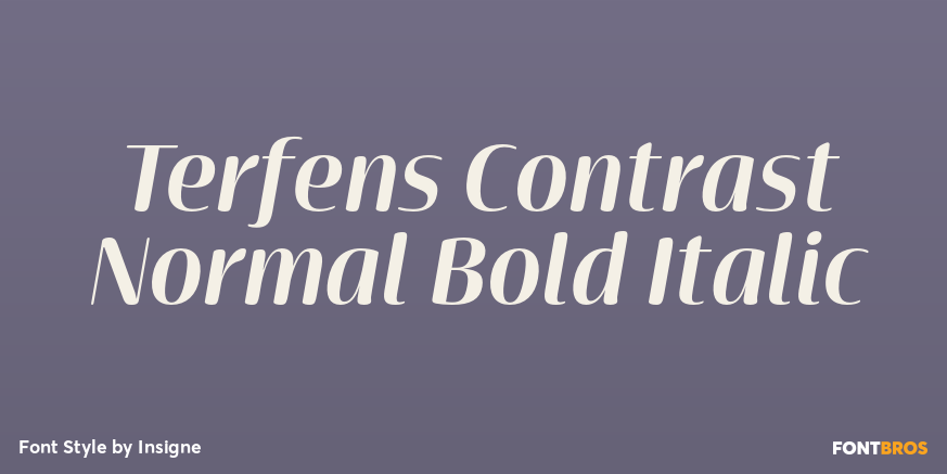 Terfens Contrast Normal Bold Italic Poster