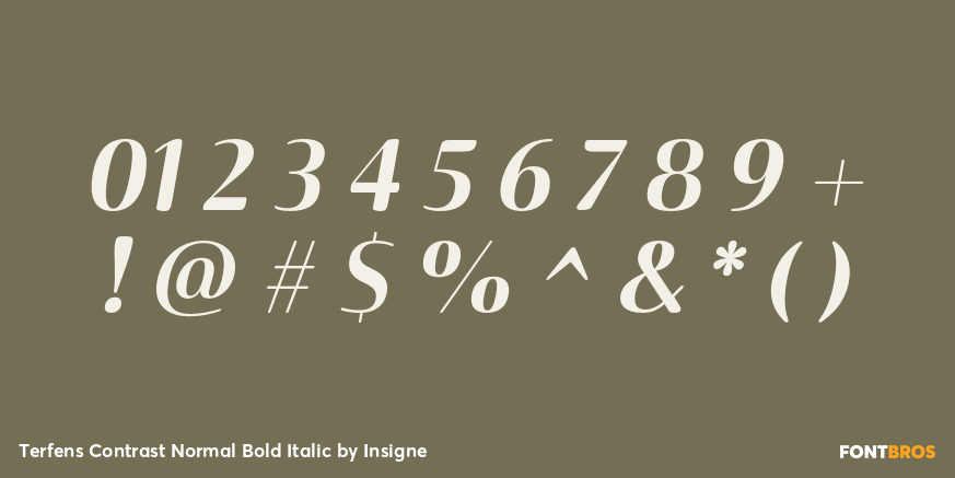 Terfens Contrast Normal Bold Italic Font Poster #1