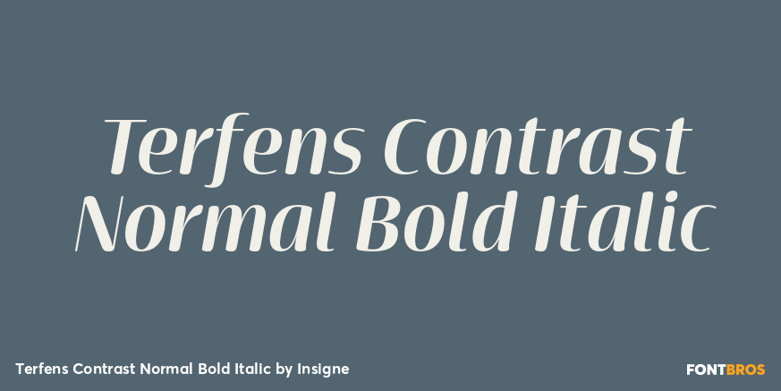 Terfens Contrast Normal Bold Italic Poster