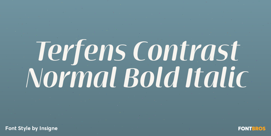 Terfens Contrast Normal Bold Italic Poster
