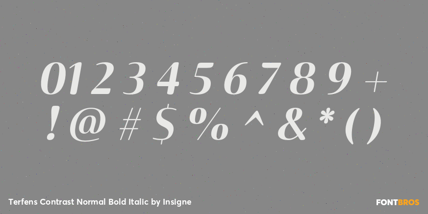 Terfens Contrast Normal Bold Italic Font Poster #4