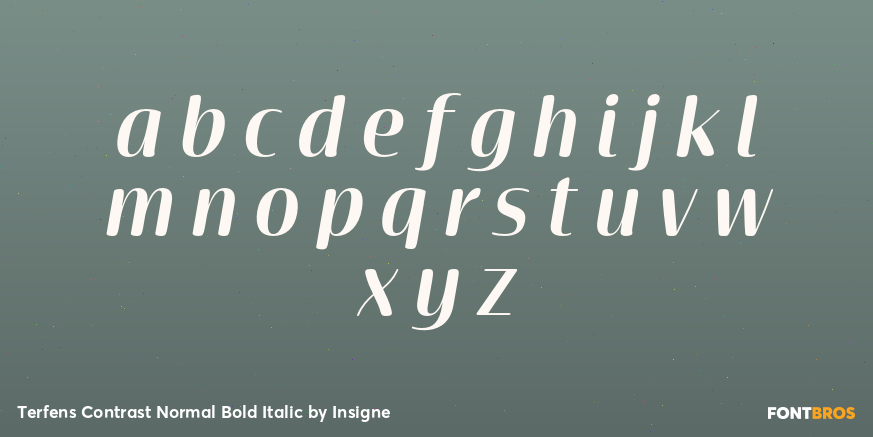 Terfens Contrast Normal Bold Italic Font Poster #1