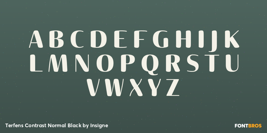 Terfens Contrast Normal Black Font Poster #1