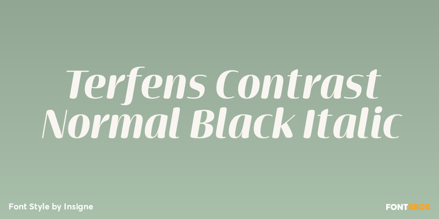 Terfens Contrast Normal Black Italic Poster