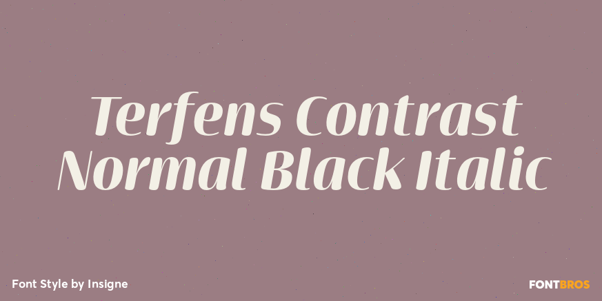 Terfens Contrast Normal Black Italic Poster