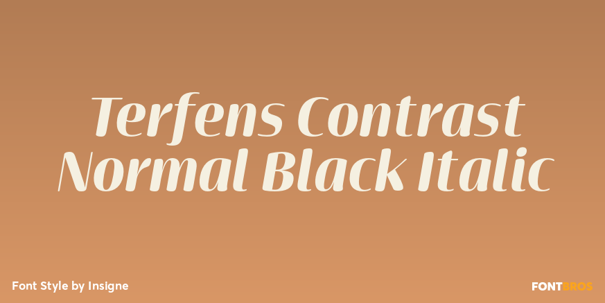 Terfens Contrast Normal Black Italic Poster