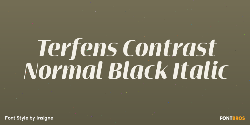 Terfens Contrast Normal Black Italic Poster